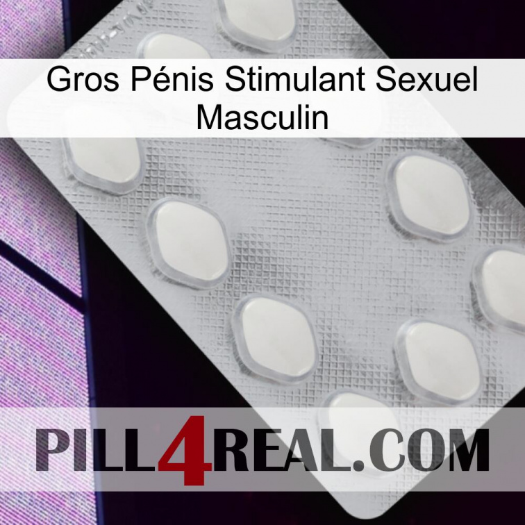 Gros Pénis Stimulant Sexuel Masculin 16